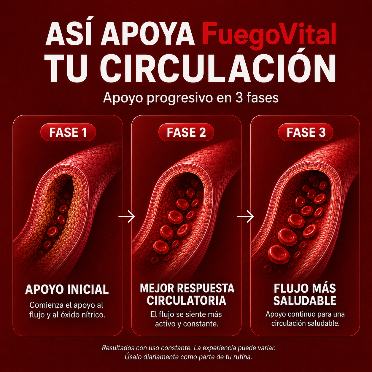 FuegoVital | Activa tu circulación