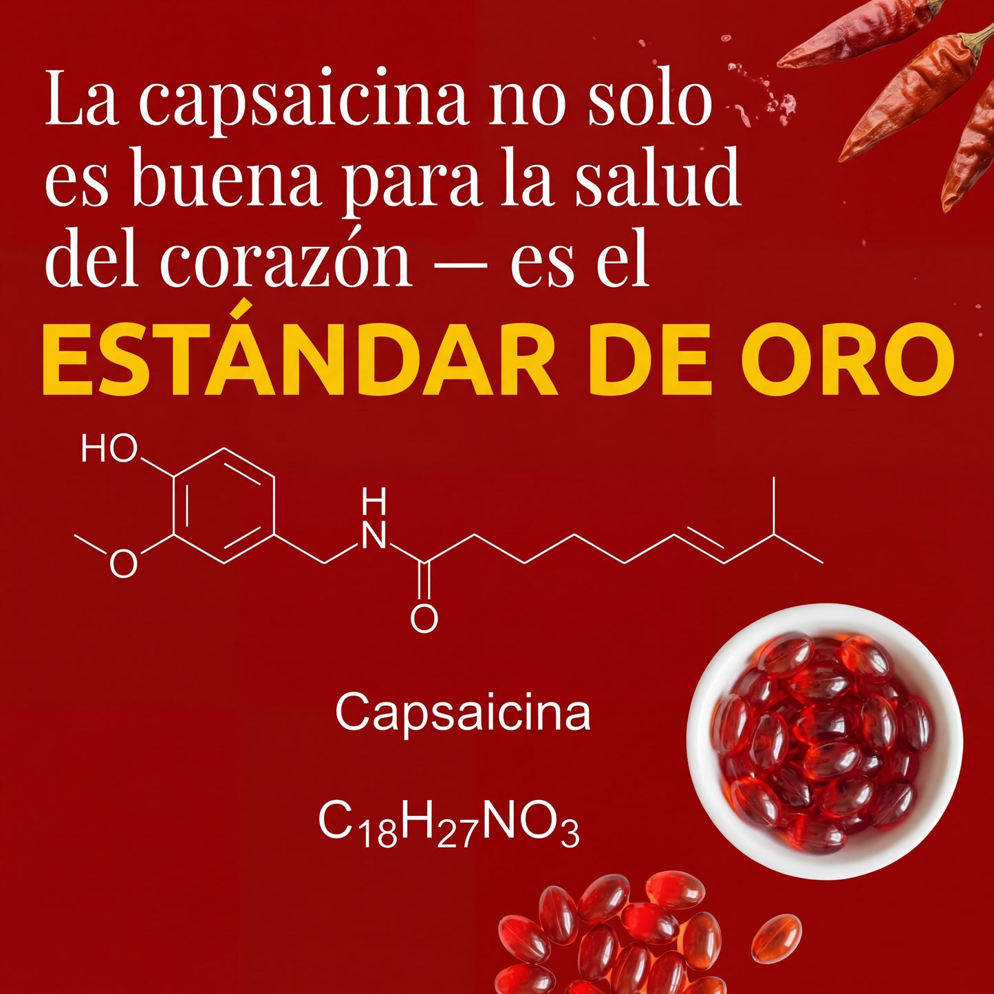 FuegoVital | Activa tu circulación